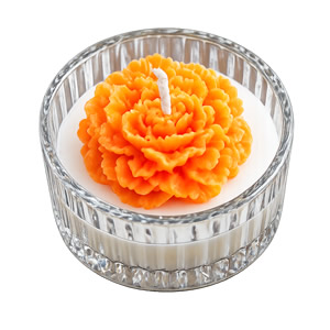home_flower_gallery6